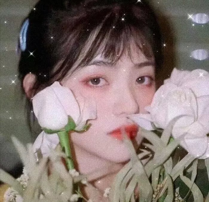 影星杰